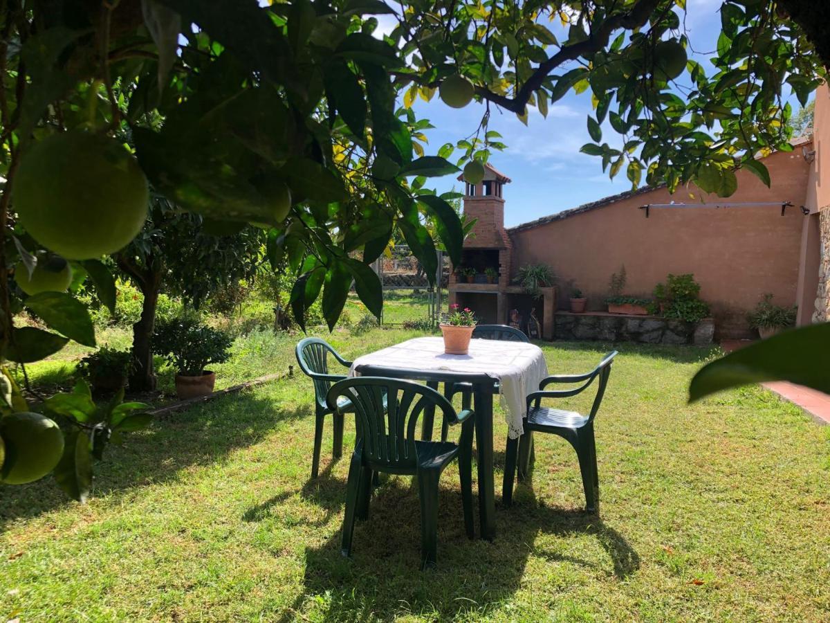 Vila El Huerto De Lino Candeleda Exteriér fotografie